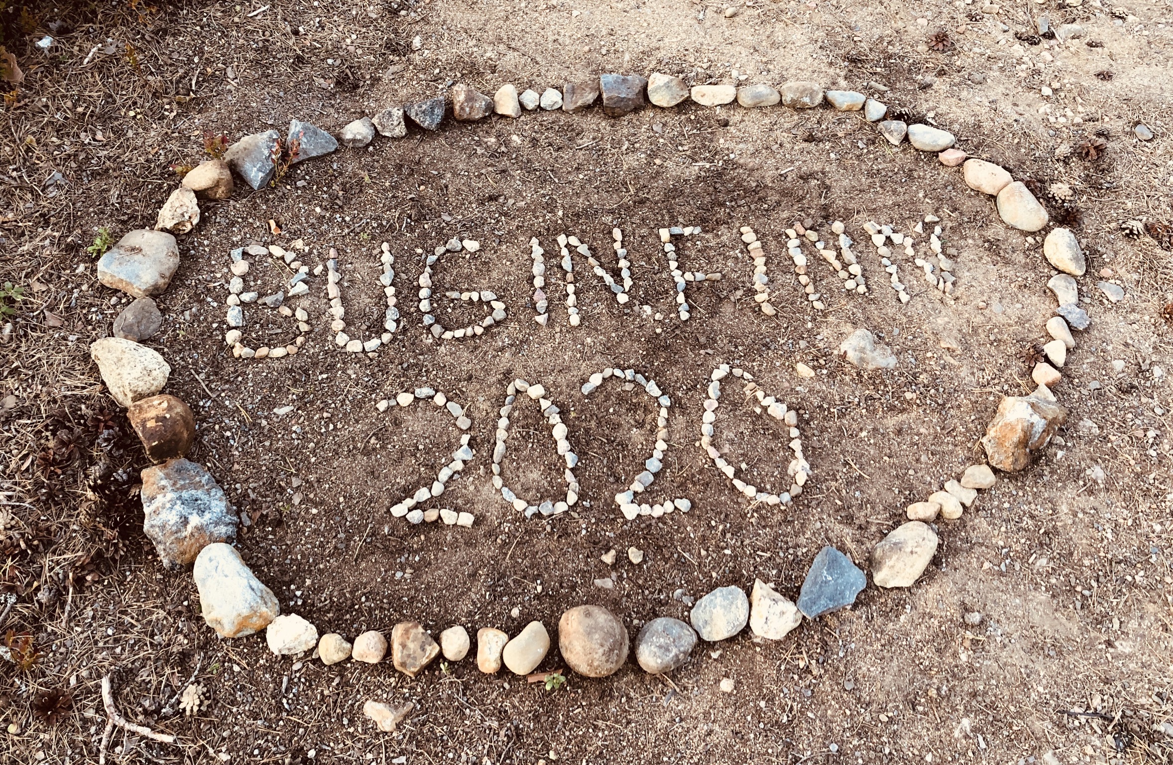 2B5F1666-F271-46BA-923B-FEAD699EBECA