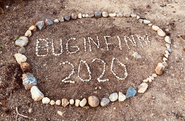 2B5F1666-F271-46BA-923B-FEAD699EBECA